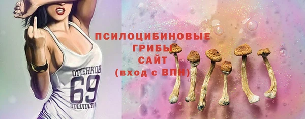кристаллы Гусев