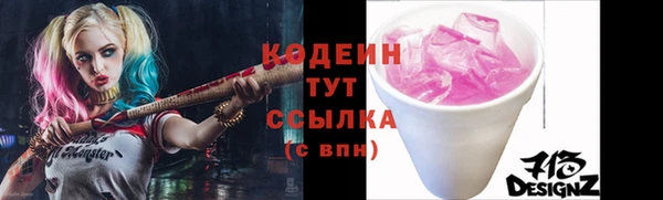 дурь Гусиноозёрск