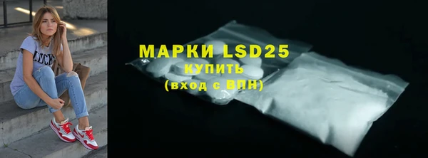 дурь Гусиноозёрск