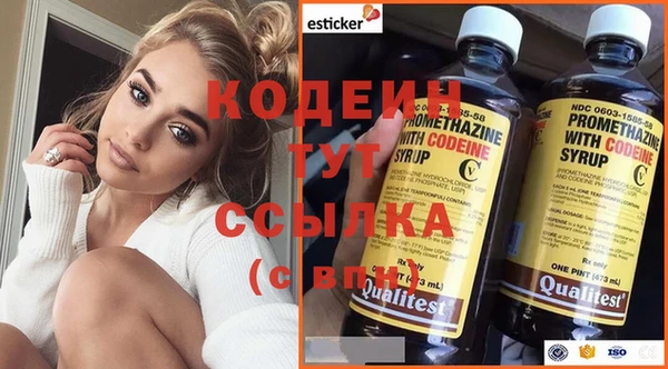 дурь Гусиноозёрск
