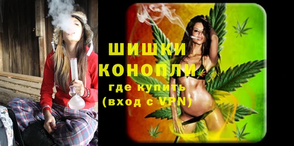 дурь Гусиноозёрск