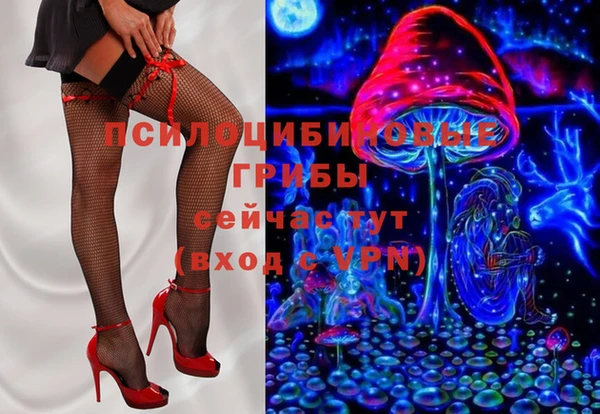 дурь Гусиноозёрск