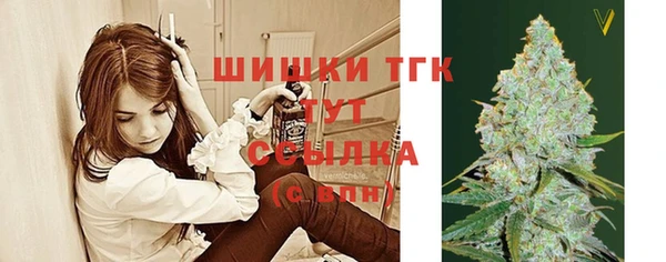 кристаллы Гусев