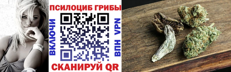 Купить где  Конаково  Галлюциногенные грибы прущие грибы 