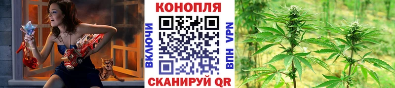 Купить  Конаково  Канабис сатива 
